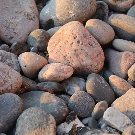 Appartamento Mit Grossem Garten An Der Ostseekueste *