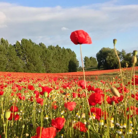 Mit Grossem Garten An Der Ostseekueste 아파트 Neubukow