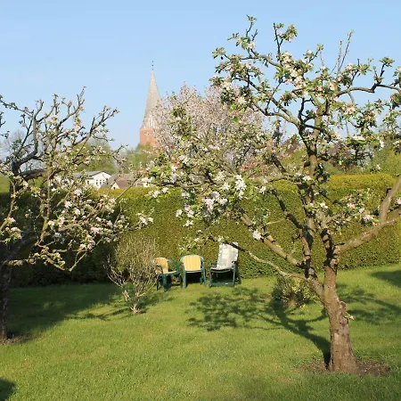 Mit Grossem Garten An Der Ostseekueste Appartement