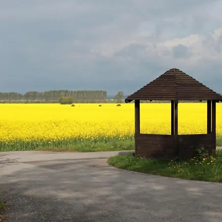 Mit Grossem Garten An Der Ostseekueste *