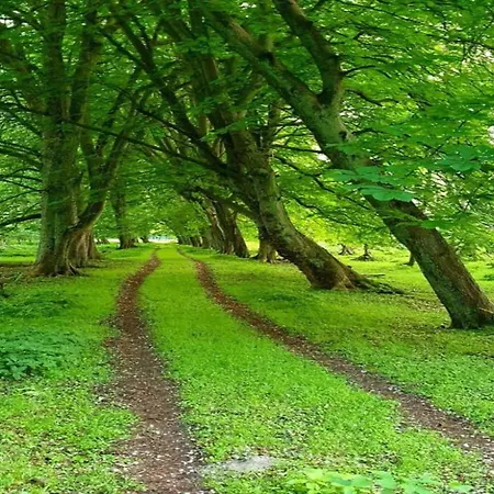 Mit Grossem Garten An Der Ostseekueste
