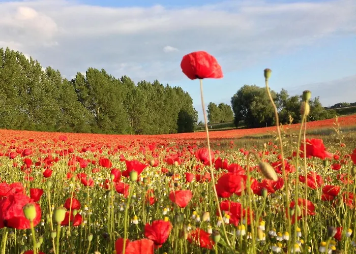Mit Grossem Garten An Der Ostseekueste 公寓 Neubukow