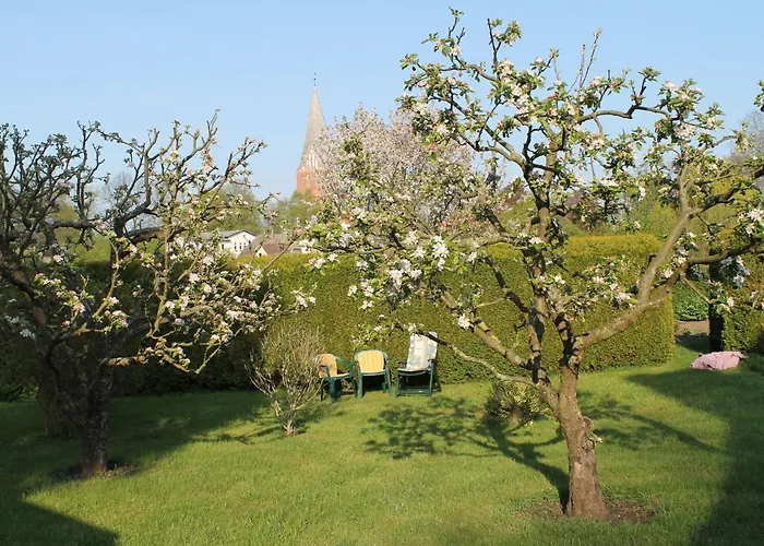 Mit Grossem Garten An Der Ostseekueste 公寓