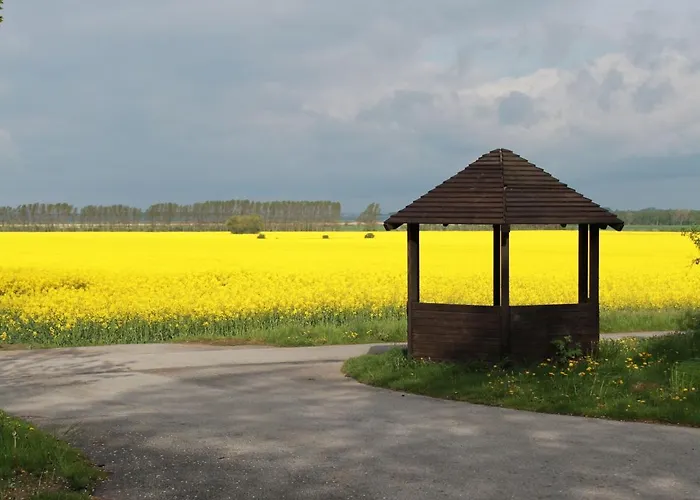 Mit Grossem Garten An Der Ostseekueste *