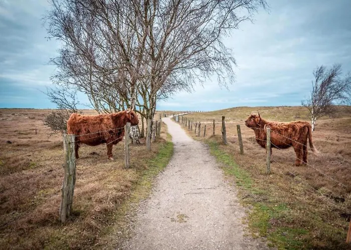 Mit Grossem Garten An Der Ostseekueste Neubukow