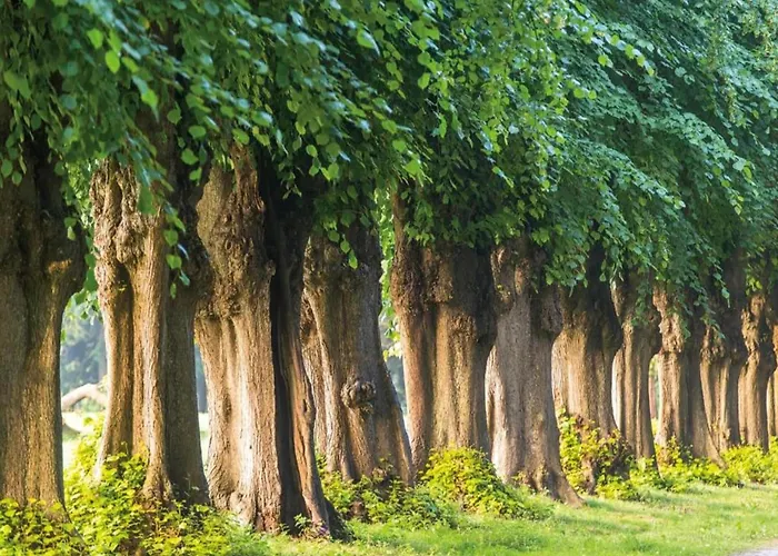 Апартаменты Mit Grossem Garten An Der Ostseekueste