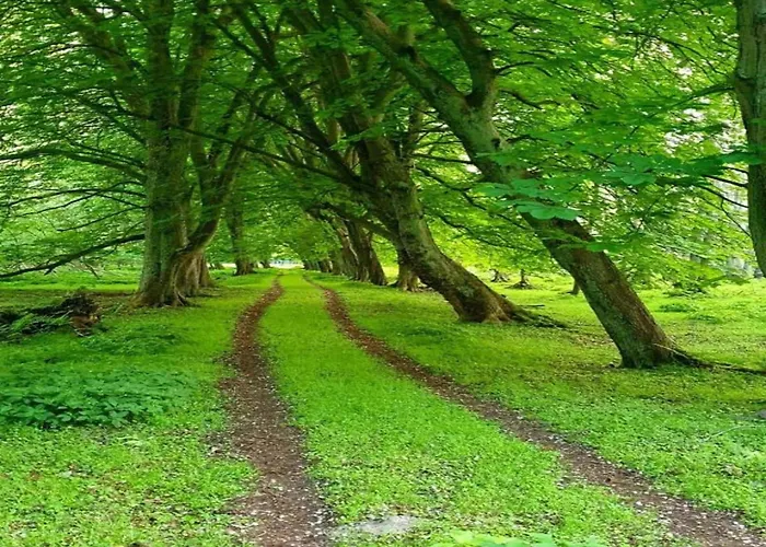 Mit Grossem Garten An Der Ostseekueste